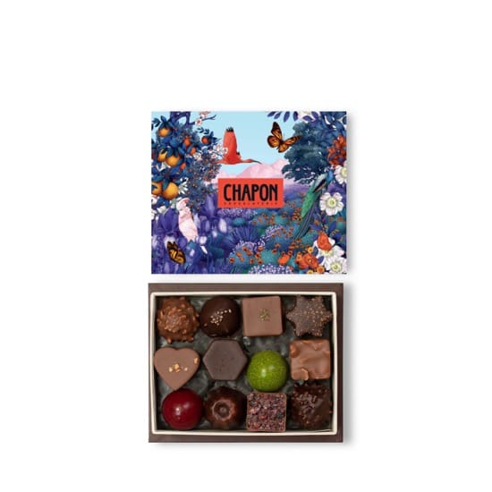 Yver • Ourson Guimauve enrobée Chocolat Noir et Lait 80g - 5 pièces  Teddyver de Cédric
